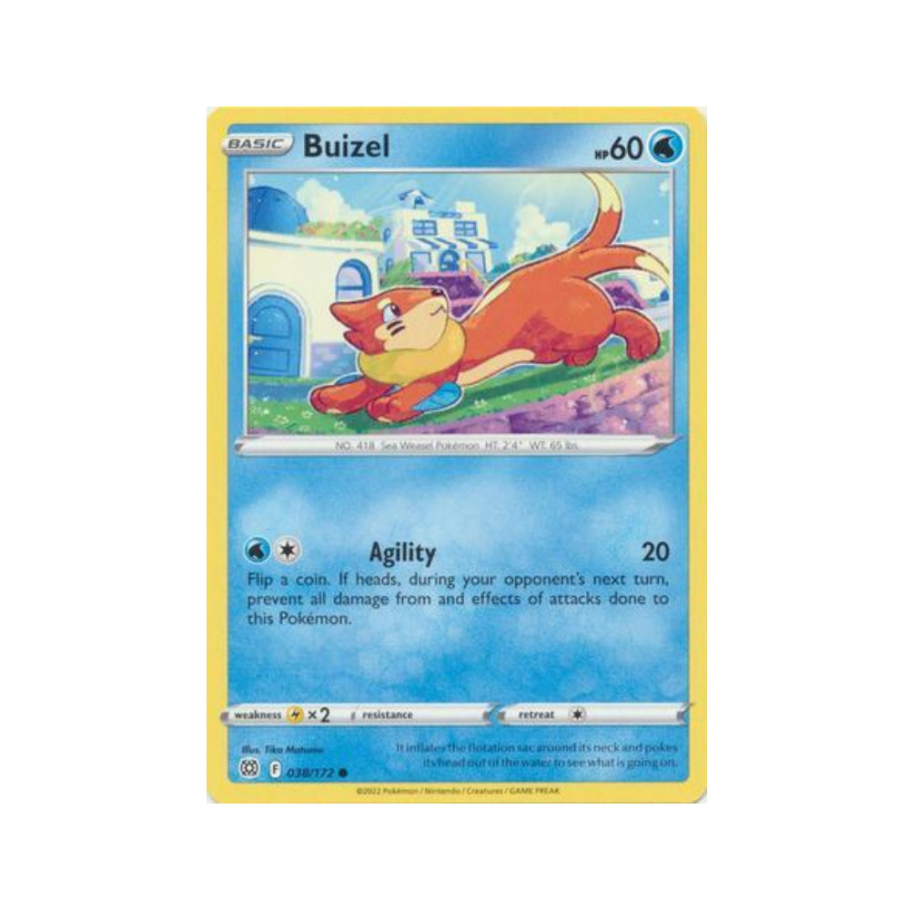 Buizel 38/172 in Portuguese Brilliant Stars Pokémon TCG