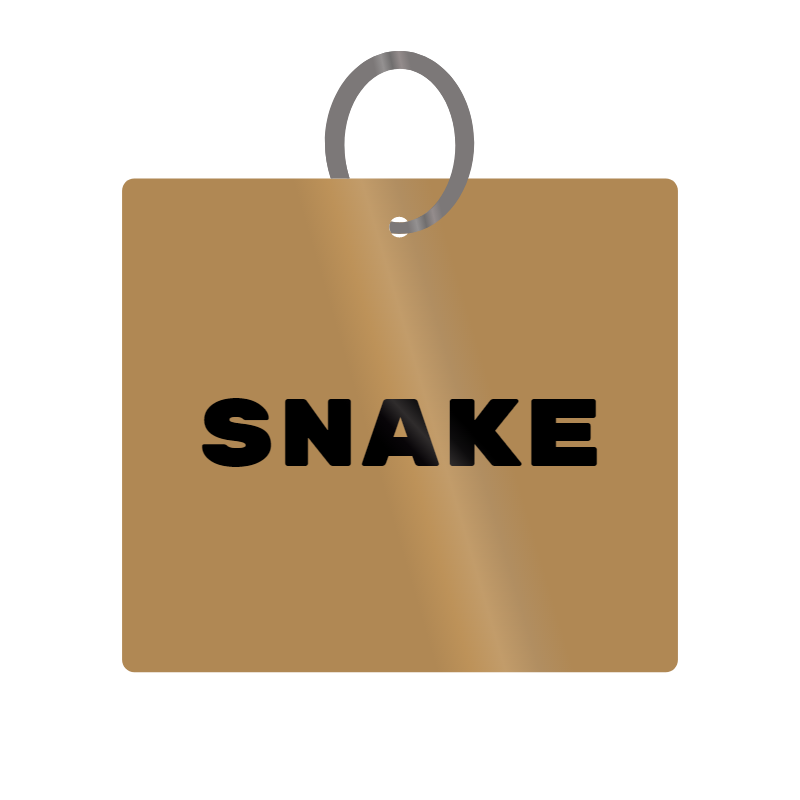 Keychain Engraved with Snake MDF 4cm x 4cm x 3mm