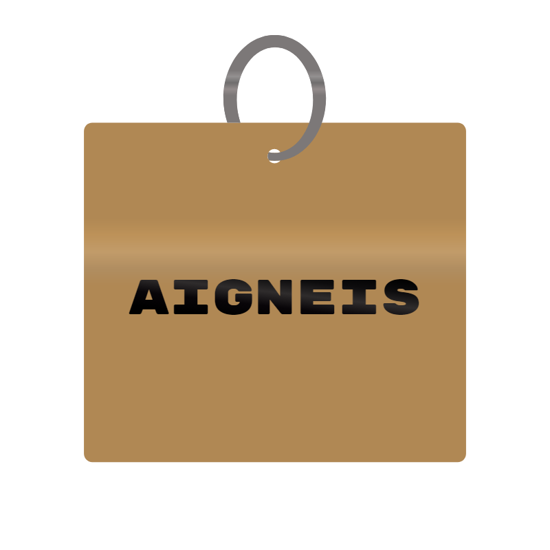 Aigneis Engraved on Keychain in MDF 4cm x 4cm x 3mm