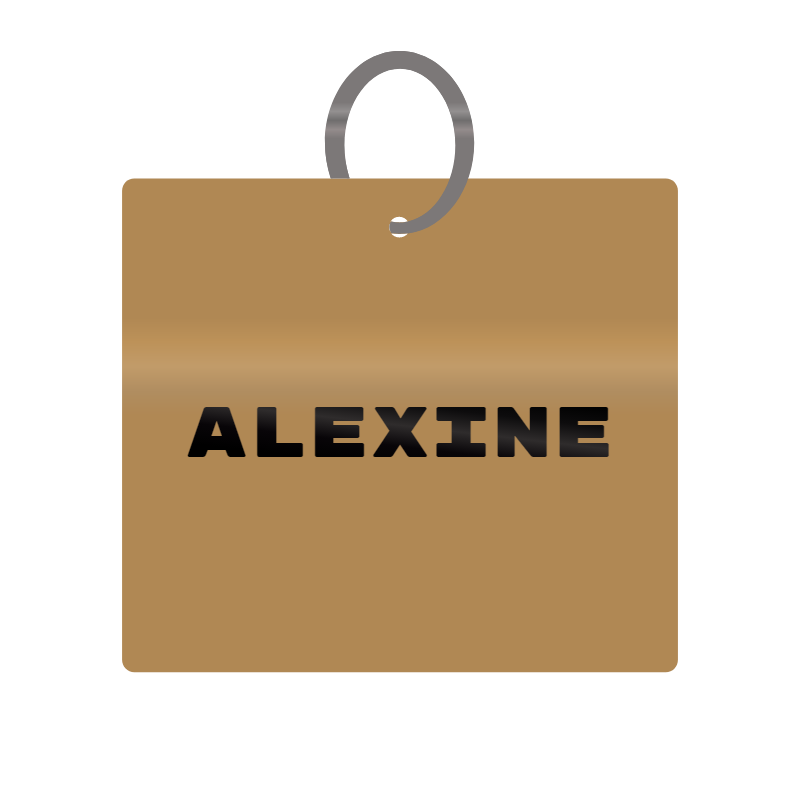 Alexine Engraved on Keychain in MDF 4cm x 4cm x 3mm