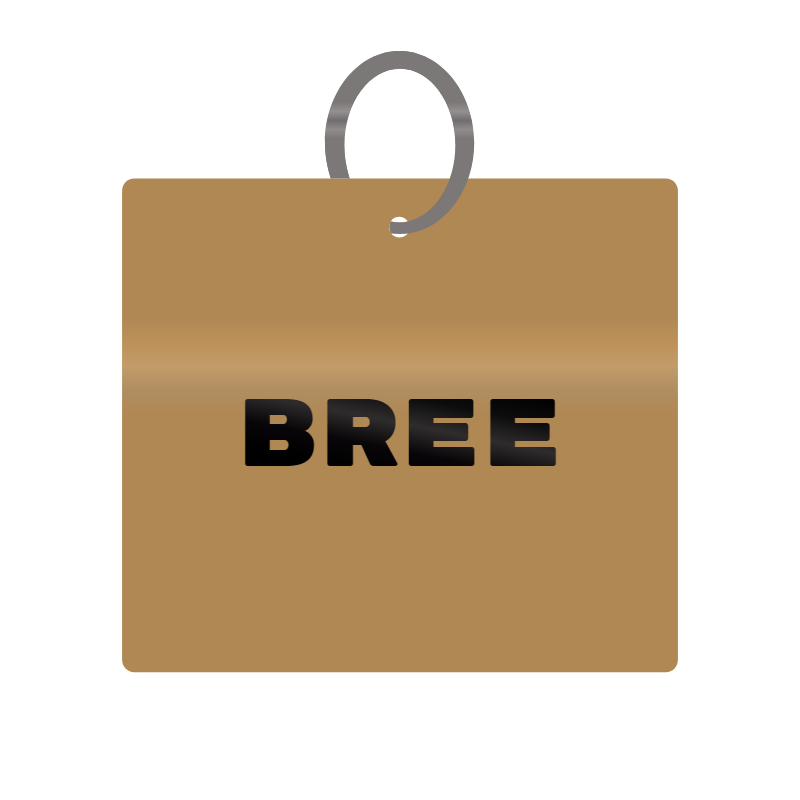 Bree Engraved on Keychain in MDF 4cm x 4cm x 3mm