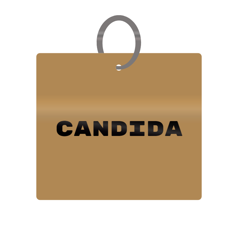 Candida Engraved on Keychain in MDF 4cm x 4cm x 3mm