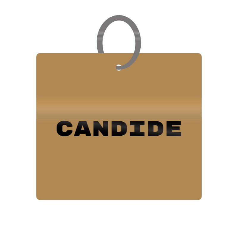 Candide Engraved on Keychain in MDF 4cm x 4cm x 3mm