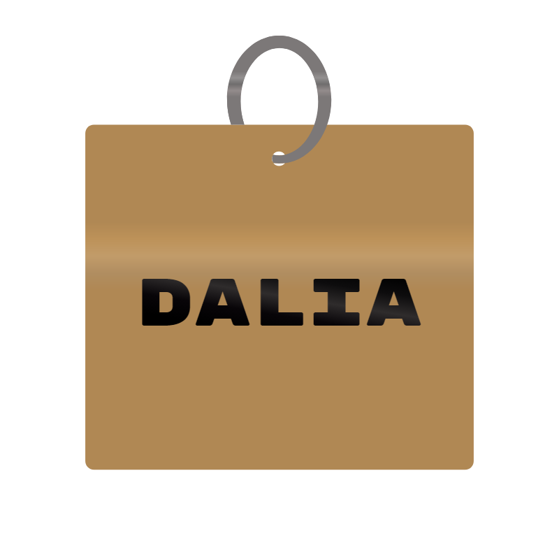 Keychain Engraved with Dalia MDF 4cm x 4cm x 3mm