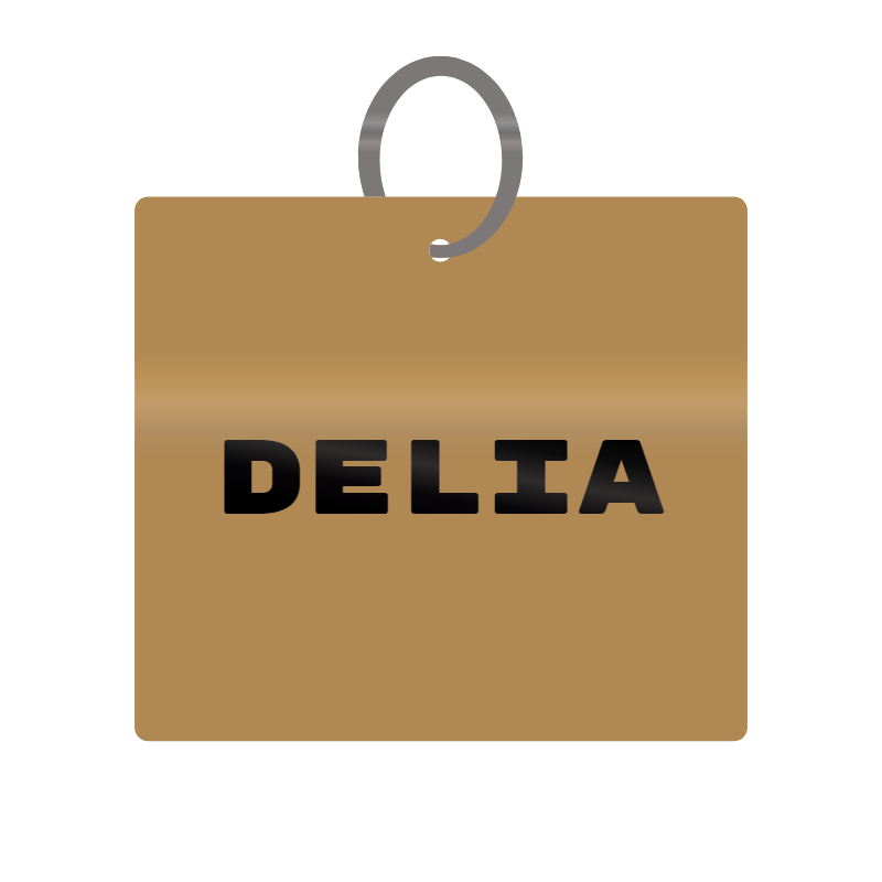 Keychain Engraved with Delia MDF 4cm x 4cm x 3mm