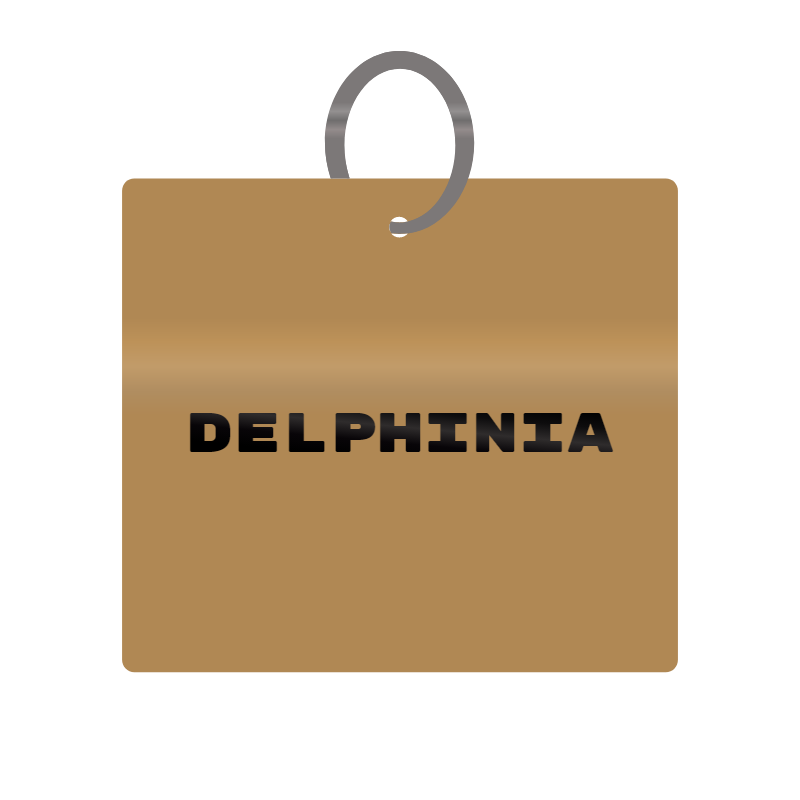 Keychain Engraved with Delphinia MDF 4cm x 4cm x 3mm