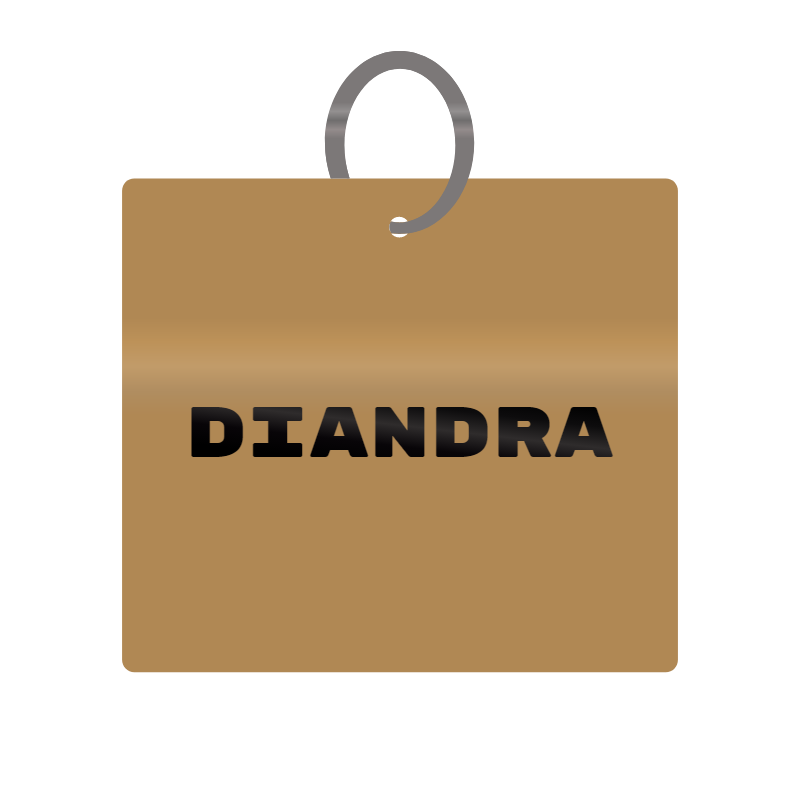 Keychain Engraved with Diandra MDF 4cm x 4cm x 3mm