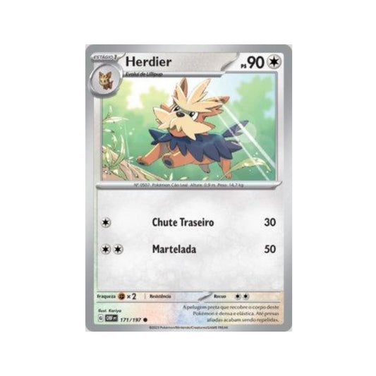 Herdier 171/197 in Portuguese Obsidian Flames Pokémon TCG